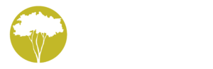 Linda Wilhelm